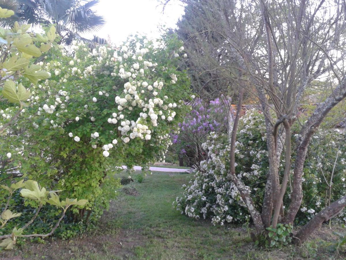 Le Logis Du Pradet Bed and Breakfast Moncrabeau Εξωτερικό φωτογραφία